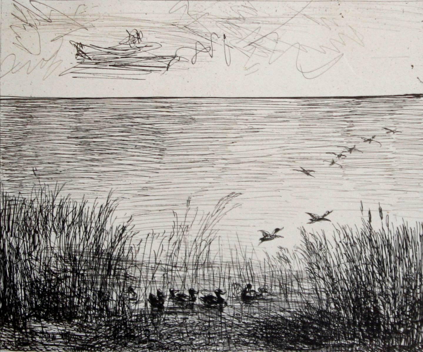 Charles François Daubigny Black and White Photograph - Le marais aux canards (Marsh with Ducks).