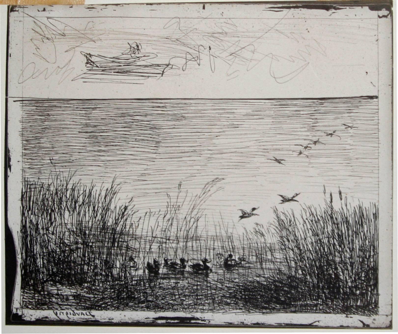 Le marais aux canards (Marsh with Ducks). - Photograph by Charles François Daubigny