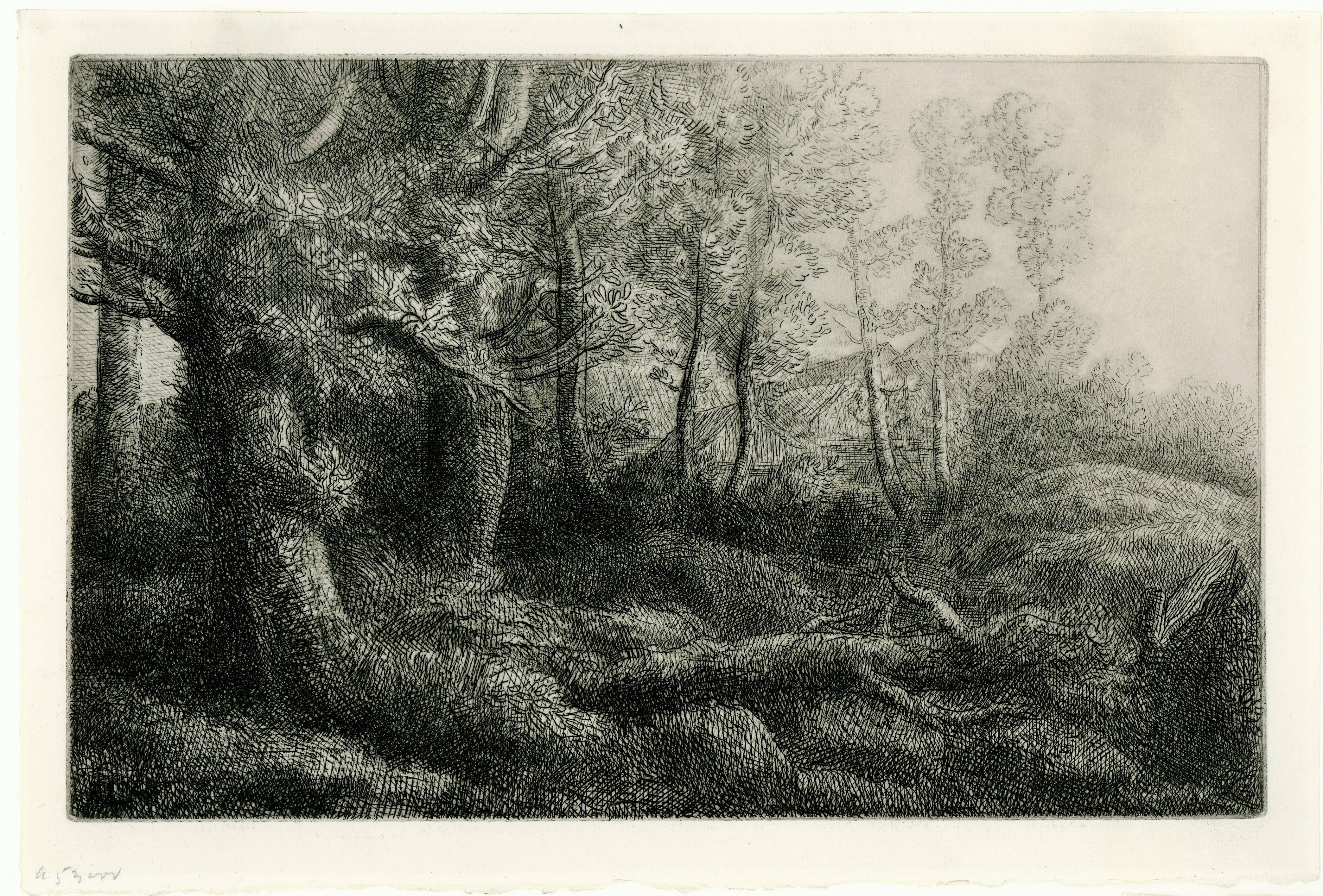 La Lisière de Fôret. (Der Rand des Waldes). – Print von Alphonse Legros