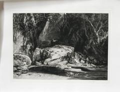 A Yorkshire Dell ou The Heron's Pool (Le lac du Yorkshire).