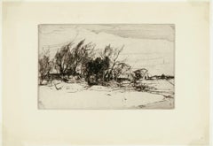 [Trees, Hayling Island, Hampshire, England]