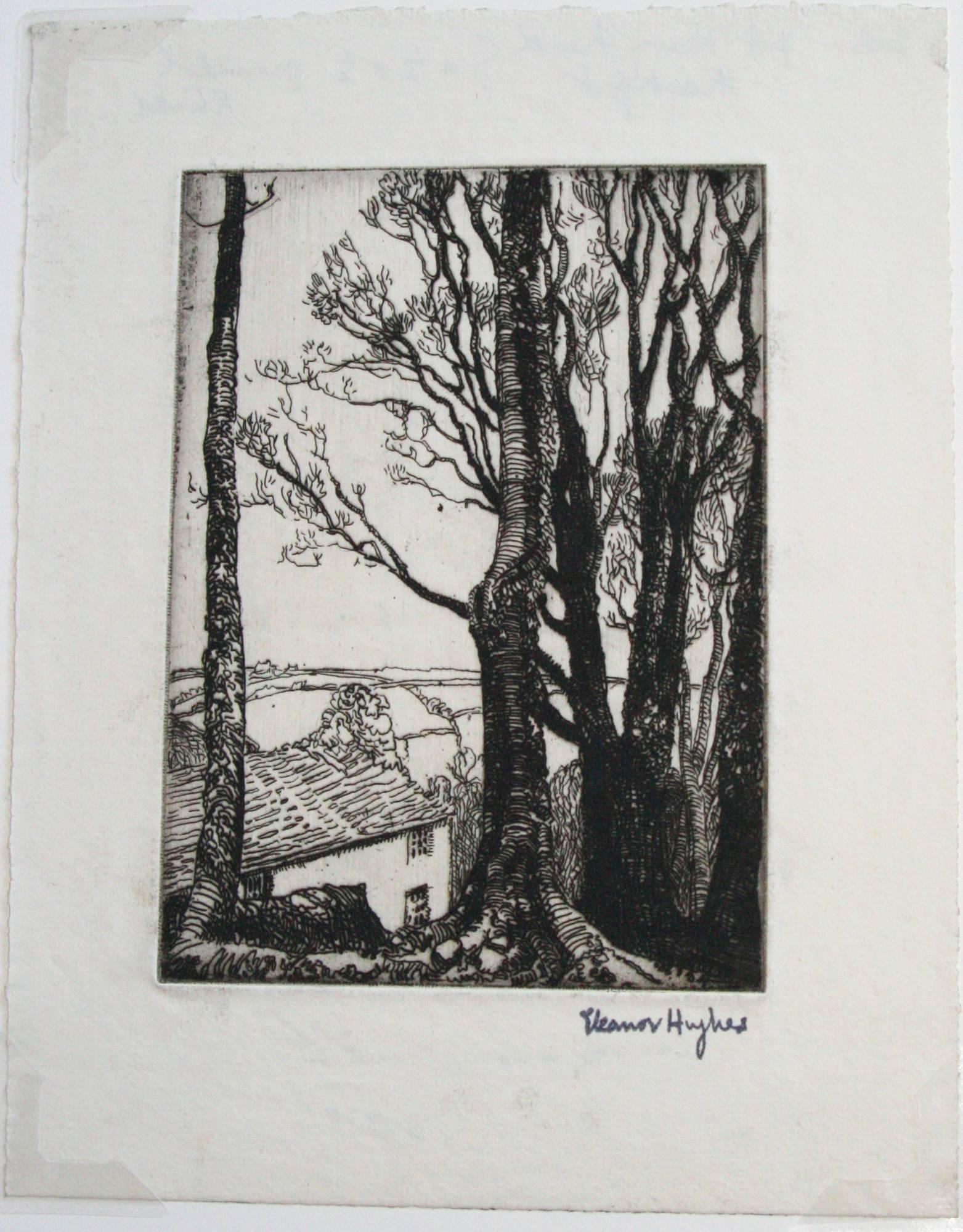 Wood Above the House. - Print by Eleanor Mary Hughes