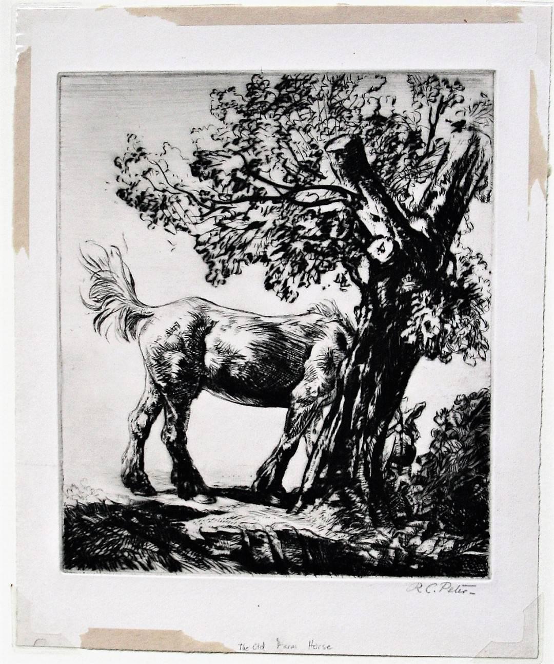 The Old Farm Horse.  - Print by Robert Charles Peter