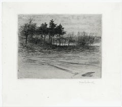 Trees Along the River