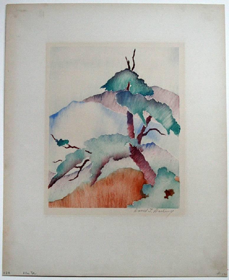 Tannenbaum. – Print von David T. Darling
