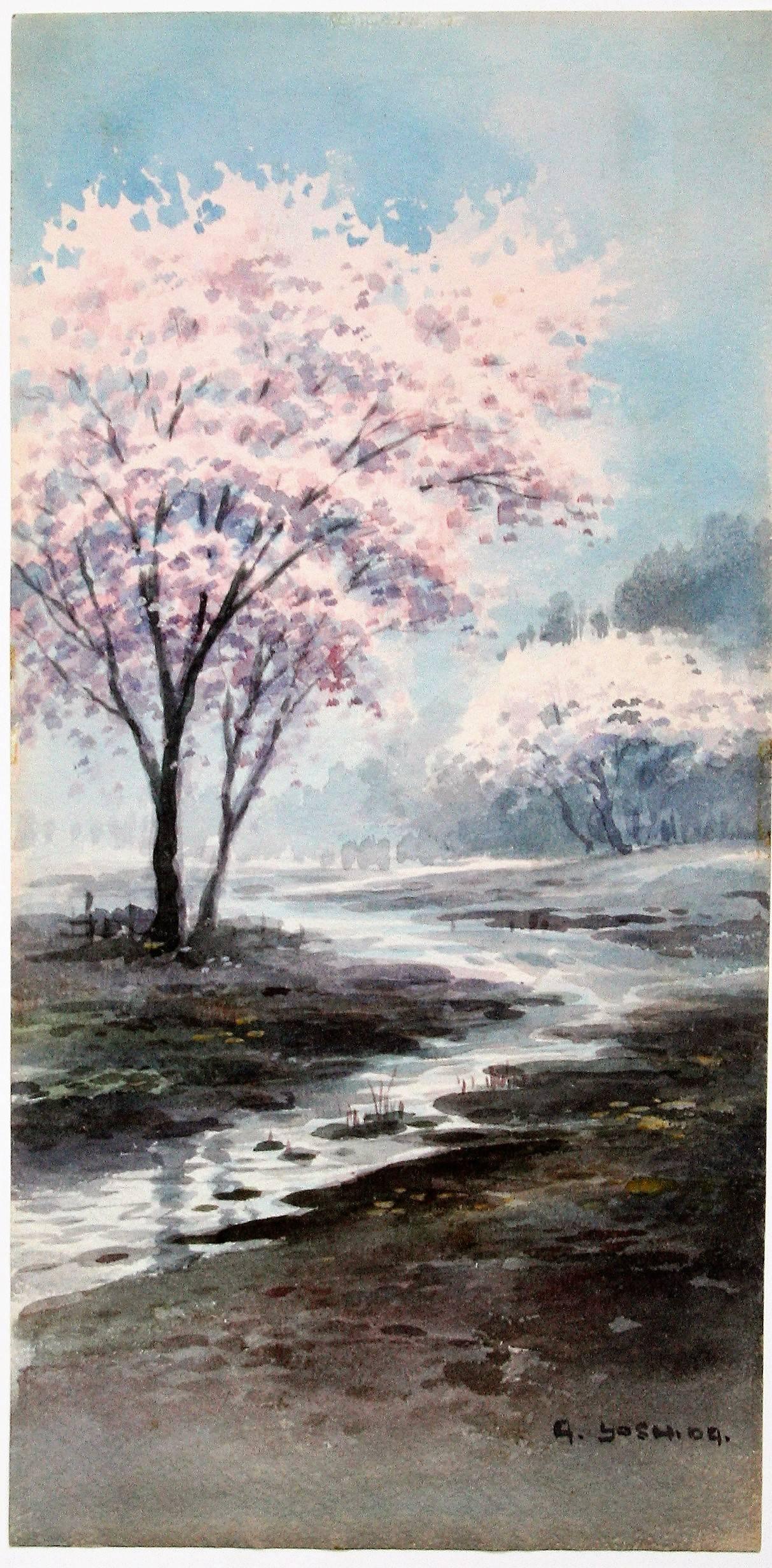 A. Yoshida Landscape Art – Cherry Blossoms in a Misty Landscape