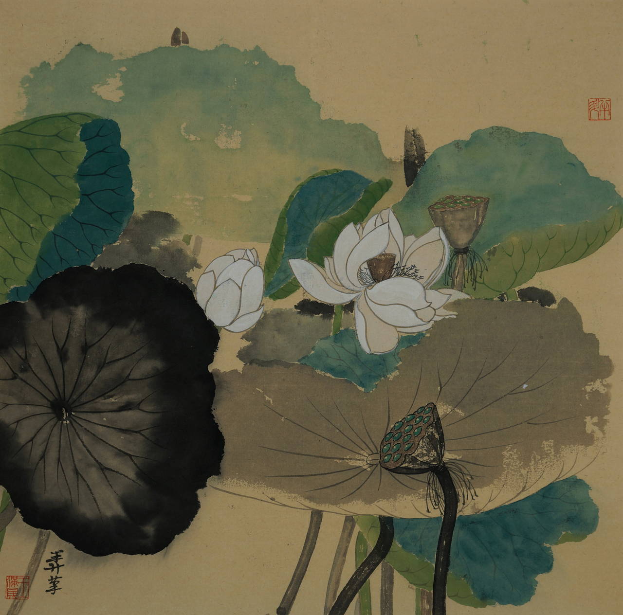 White Lotus II - Painting by Mansheng Wang