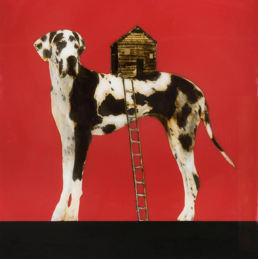 Dog With Tiny House - Mixed Media Art by Anke Schofield