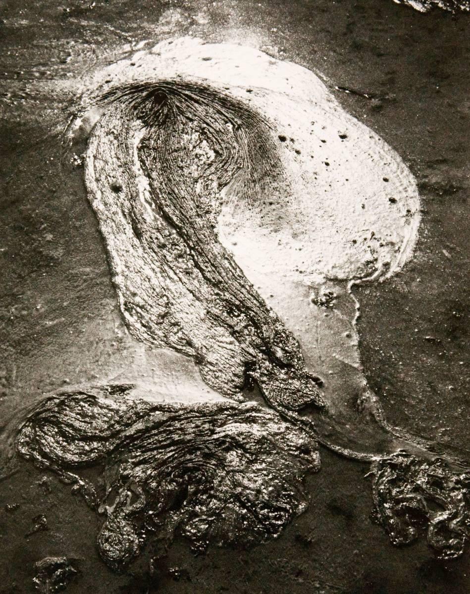 Lucien Clergue Black and White Photograph - Untitled, from the series 'Camargue Secrète'
