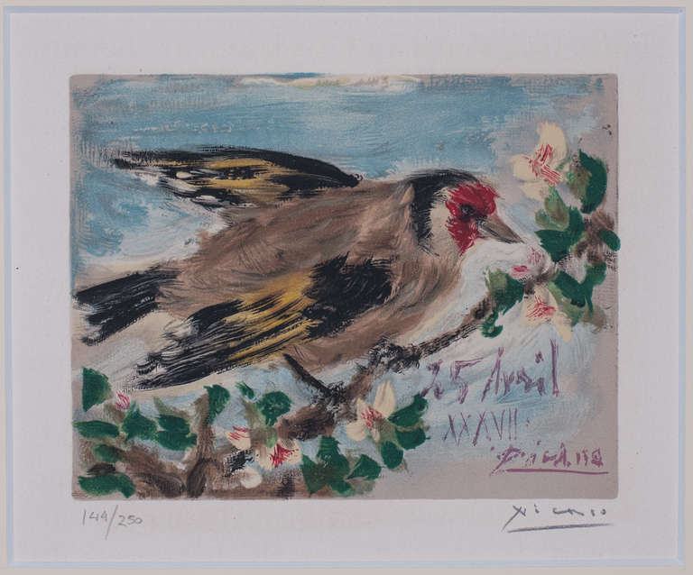 Pablo Picasso Print - Picasso bird (Goldfinch)