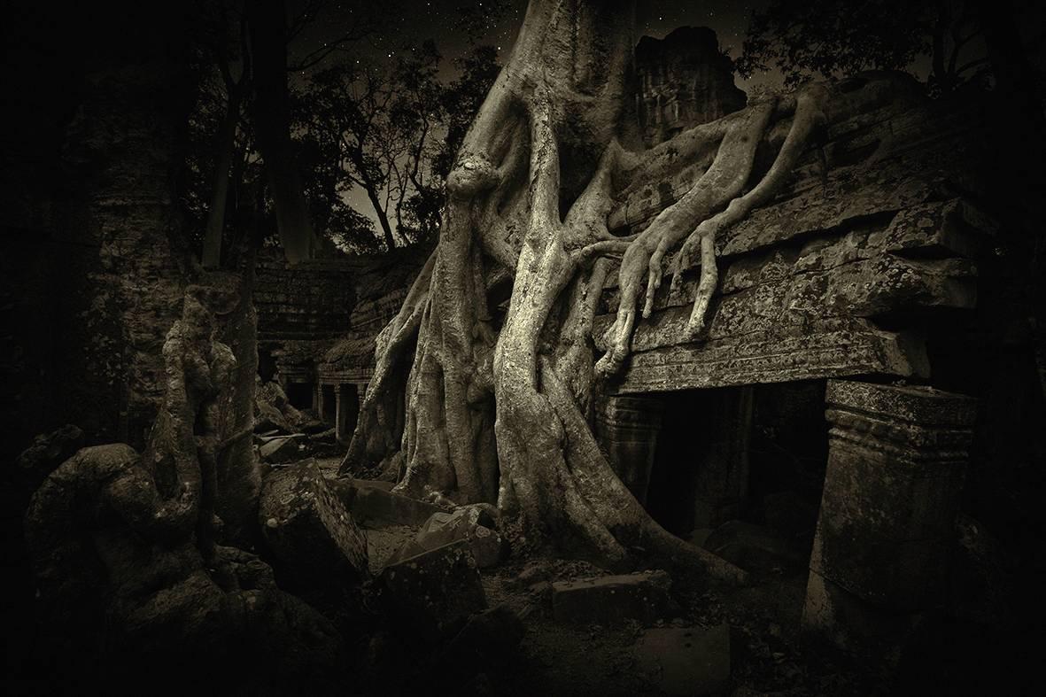Erik Hijweege Landscape Photograph - Ta Prohm (Cambodia) 001