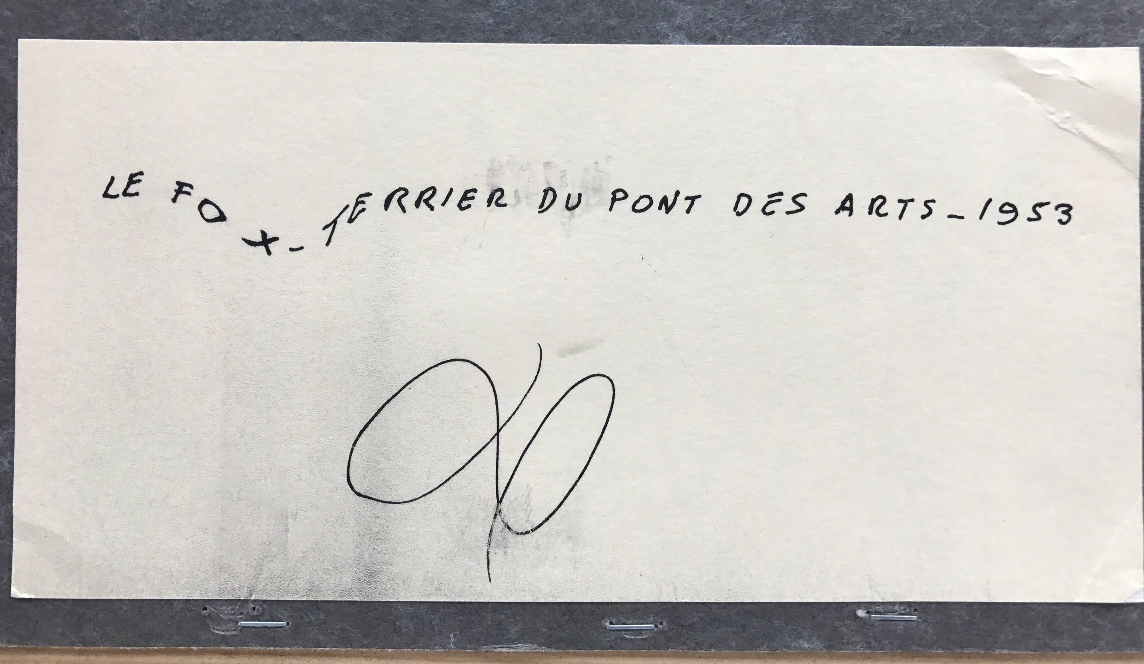 robert doisneau fox terrier
