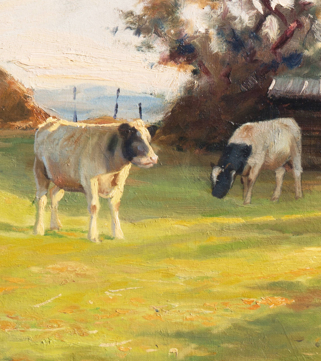 Last of the Sunlight