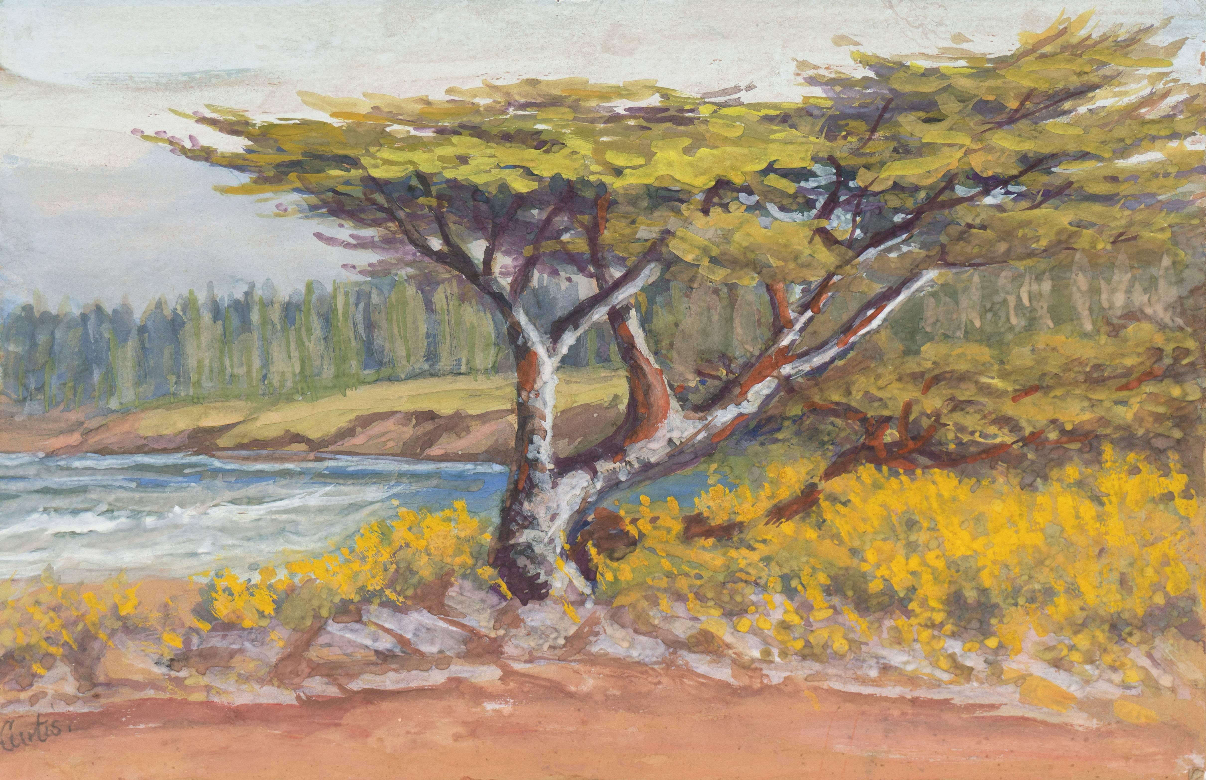 Alice Hunt Curtis Landscape Painting - 'Lone Cypress, Carmel', California Impressionist, San Francisco de Young Museum