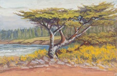 'Lone Cypress, Carmel', California Impressionist, San Francisco de Young Museum