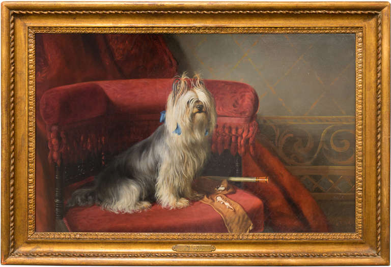 Mi-Mi, Portrait of a Yorkie - Painting by Arthur Fitzwilliam Tait