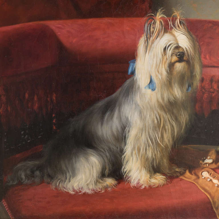 Mi-Mi, Portrait of a Yorkie - American Realist Painting by Arthur Fitzwilliam Tait