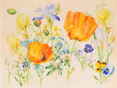 Paper Still-life Drawings and Watercolors