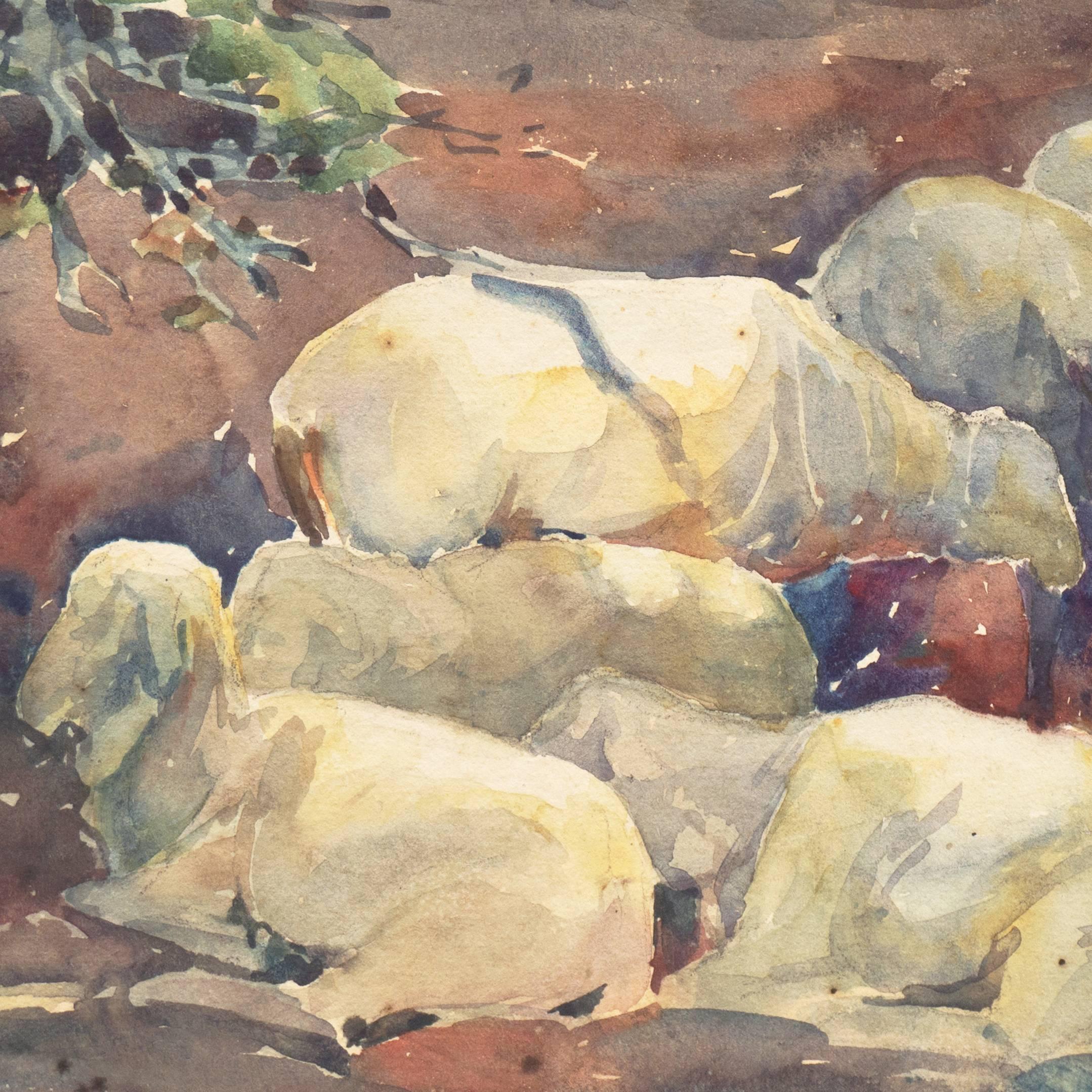 'Sheep Resting', Art Institute Chicago, Woman Artist 1