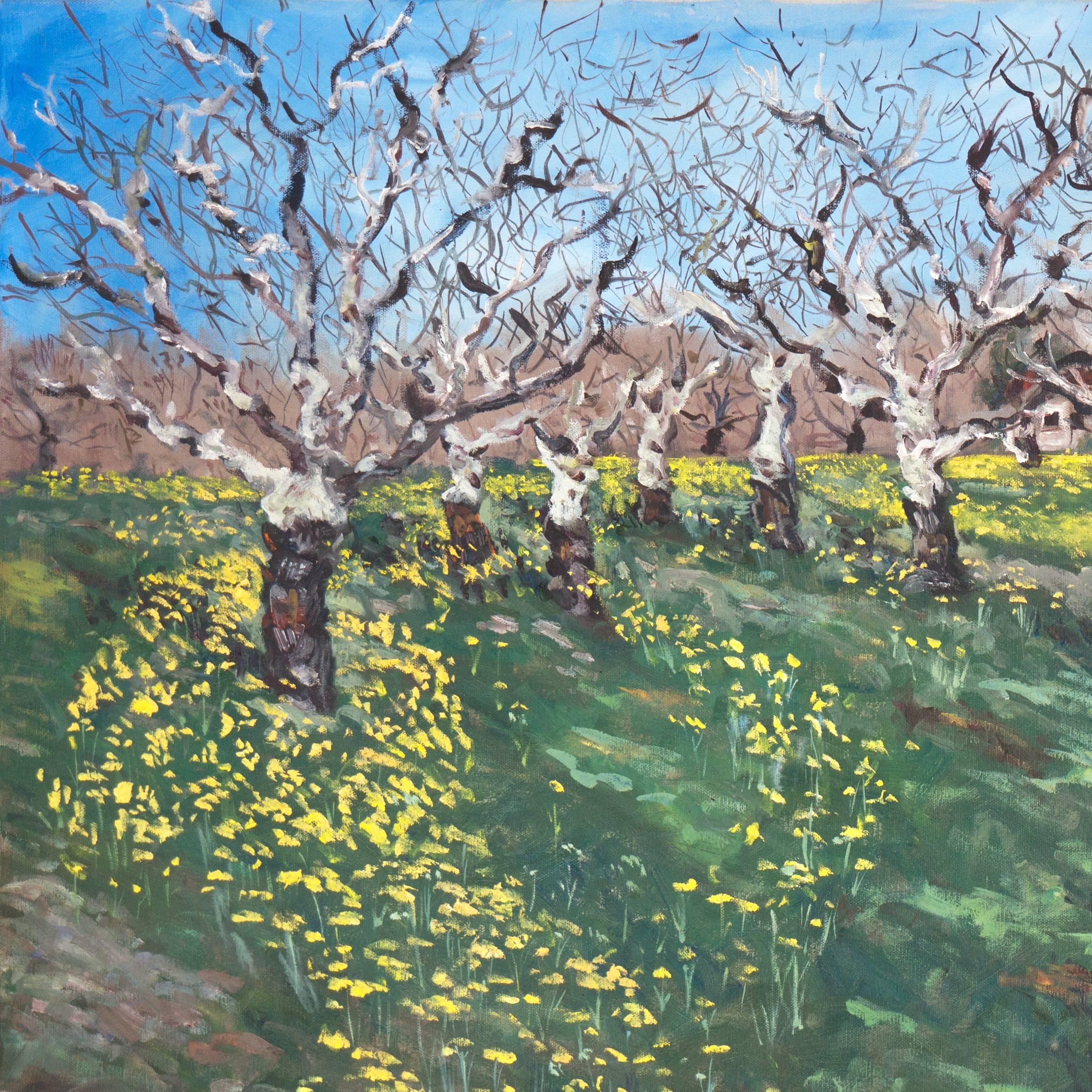 'Bosque de nogales con mostaza silvestre', Mujer artista californiana, Gran paisaje al óleo - Painting de Patricia Moorhead