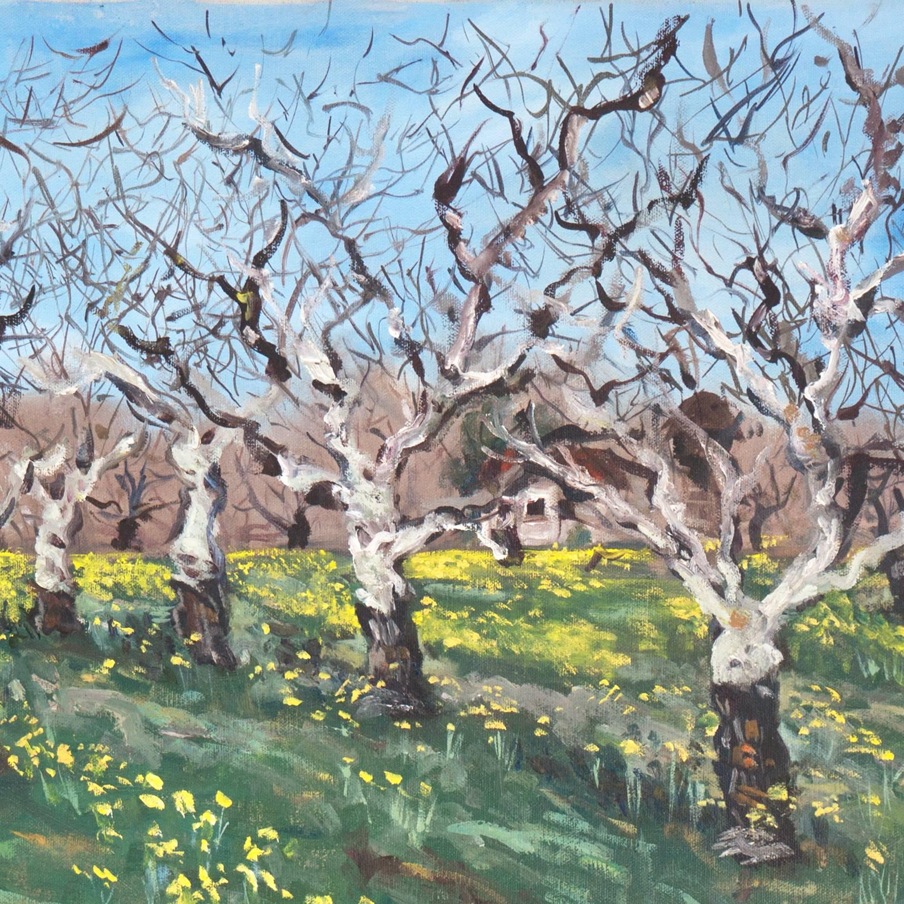 'Bosque de nogales con mostaza silvestre', Mujer artista californiana, Gran paisaje al óleo - Landscape Painting Gris de Patricia Moorhead