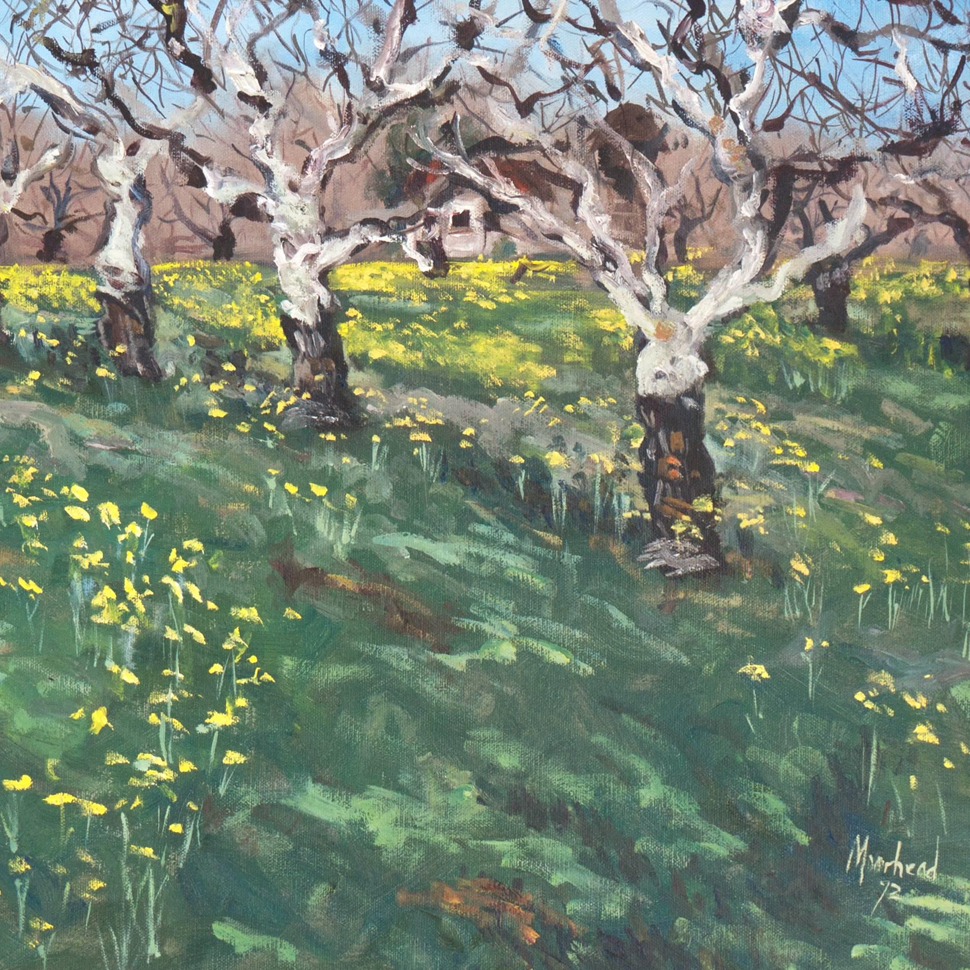 'Walnut Grove with Wild Mustard', California Woman Artist, Large Oil landscape - Impressionist Painting by Patricia Moorhead