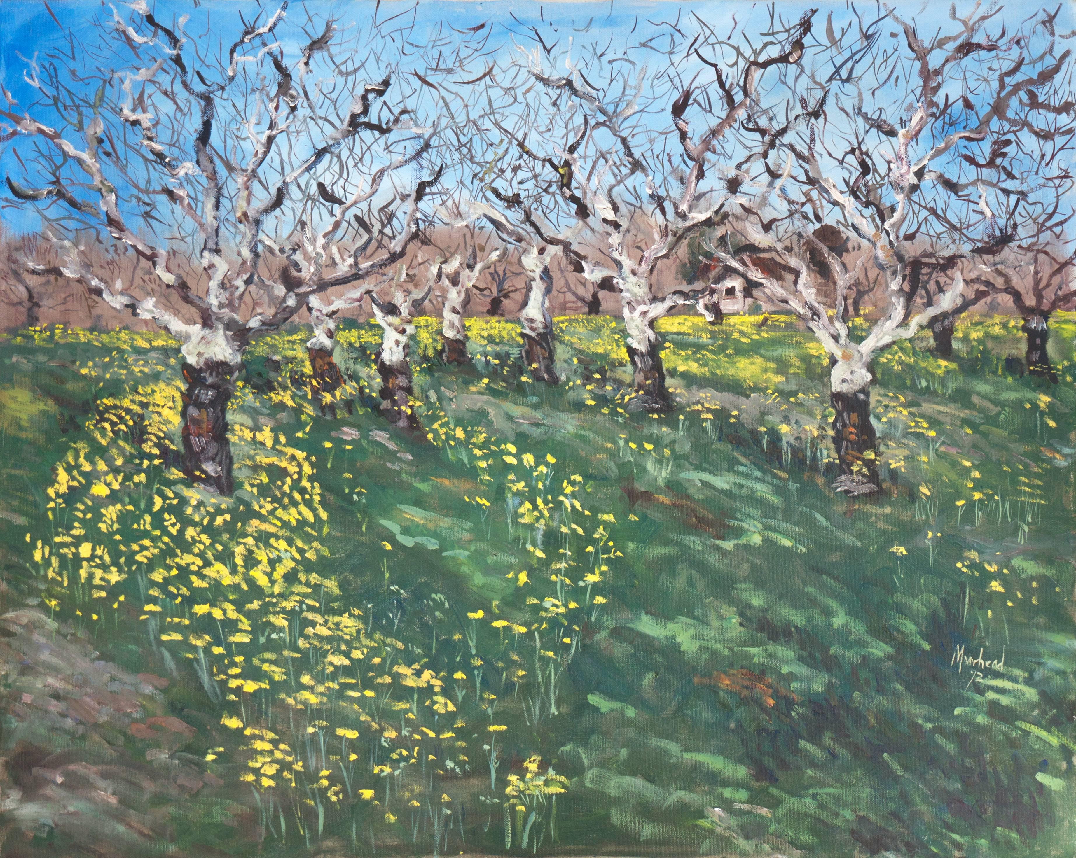 Patricia Moorhead Landscape Painting - 'Walnut Grove with Wild Mustard', California Woman Artist, Large Oil landscape