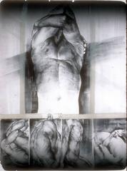 Life in Summersault (from the Figurative Series)
