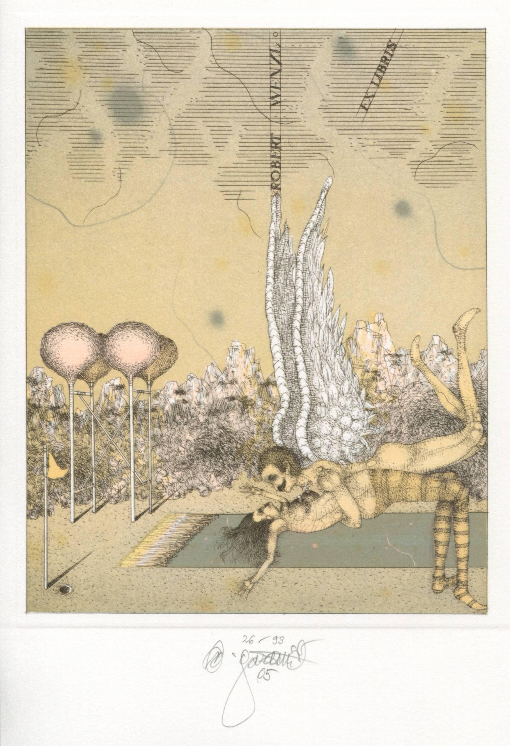 Vladimír Gazovic Figurative Print - Fallen Angel