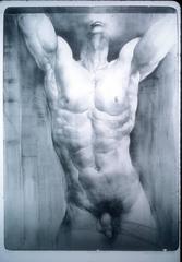 Large Parbola Series (Numbers 1, 2, 3, and 4)