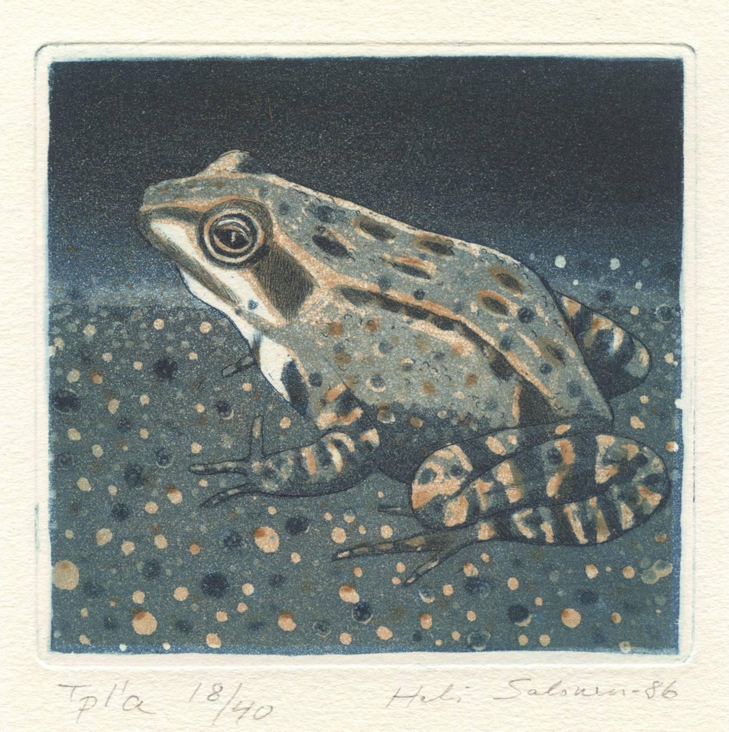 Heli Salonen Animal Print - Tpl'a (Frog)