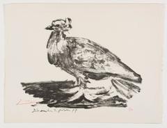 Gros Pigeon
