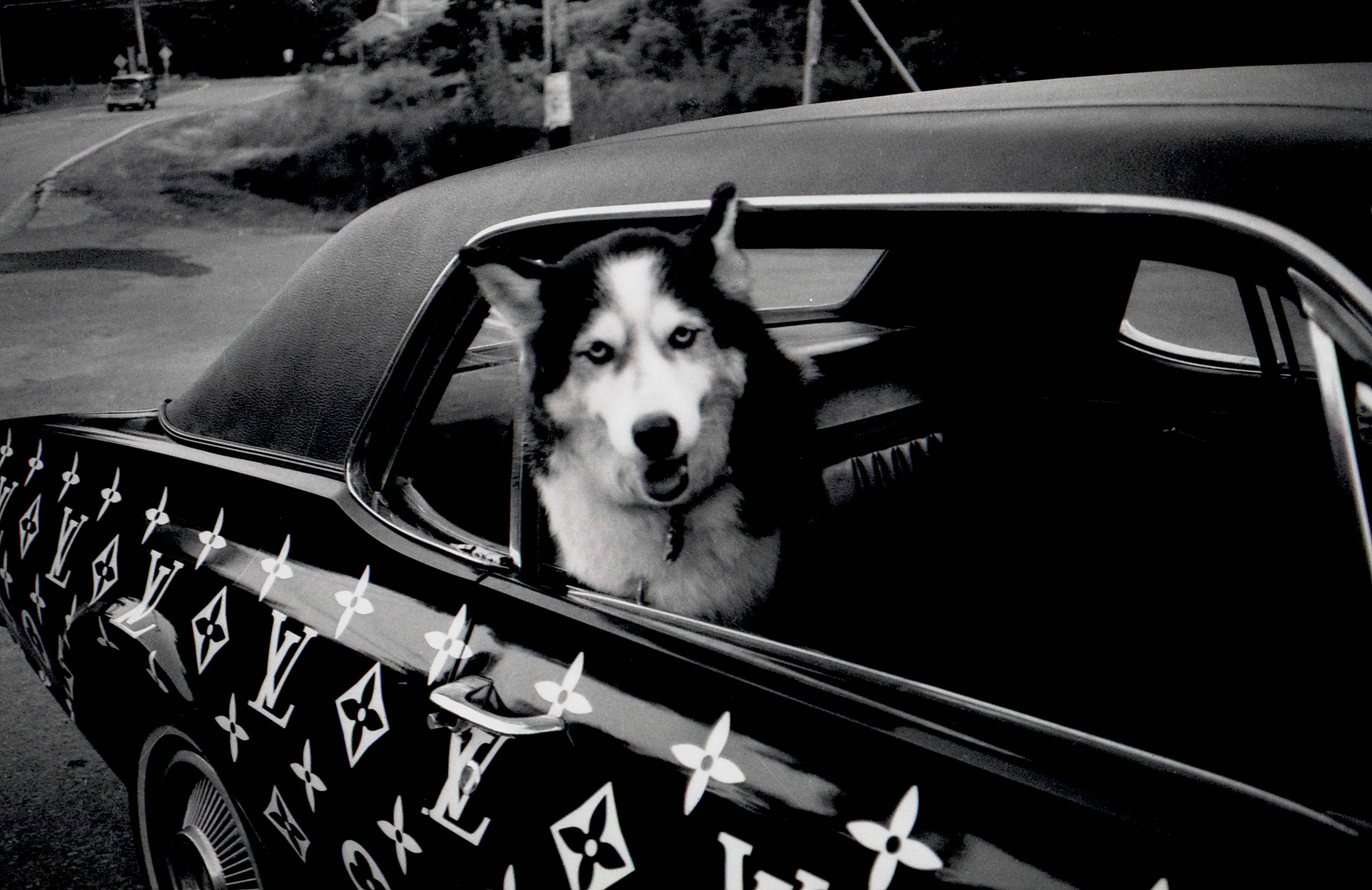Ricky Powell Black and White Photograph - Louis Vuitton Dog