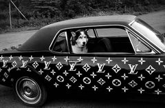 automobile Louis Vuitton