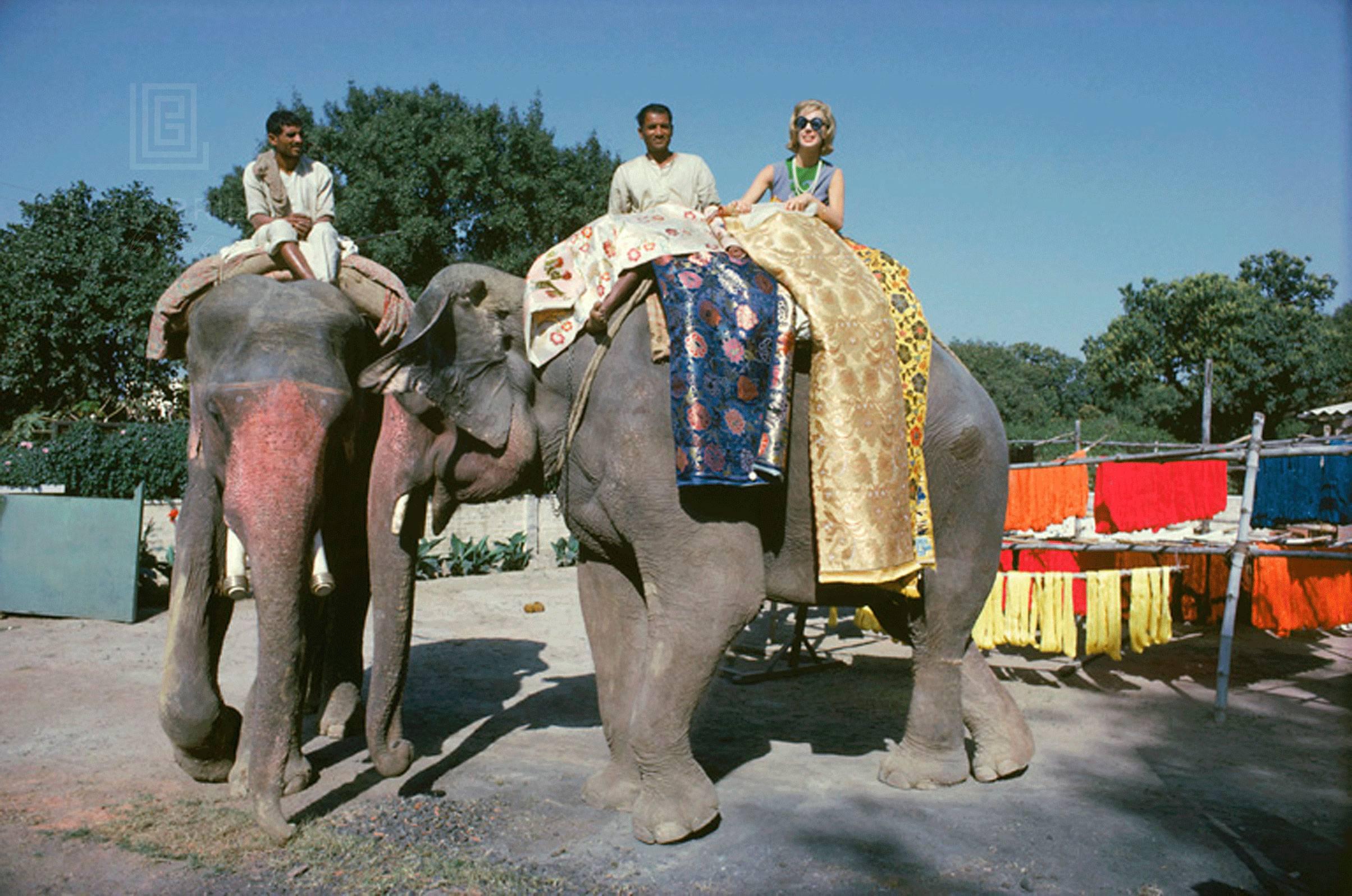 Mark Shaw Color Photograph - Tiger Morse Rides an Elephant, Benares, 1962