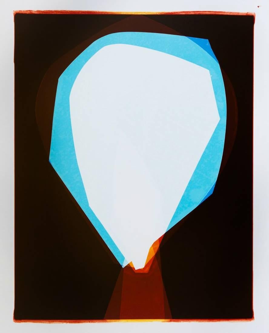 Liz Nielsen Abstract Photograph - Balloon Plant