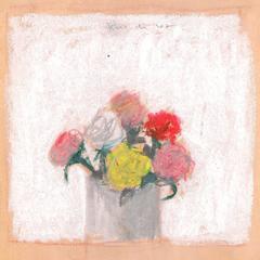 Red, Pink, Yellow, and White Flowers in a Vase Against a White Background