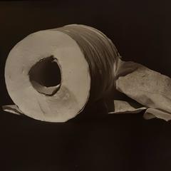 On a Roll 5