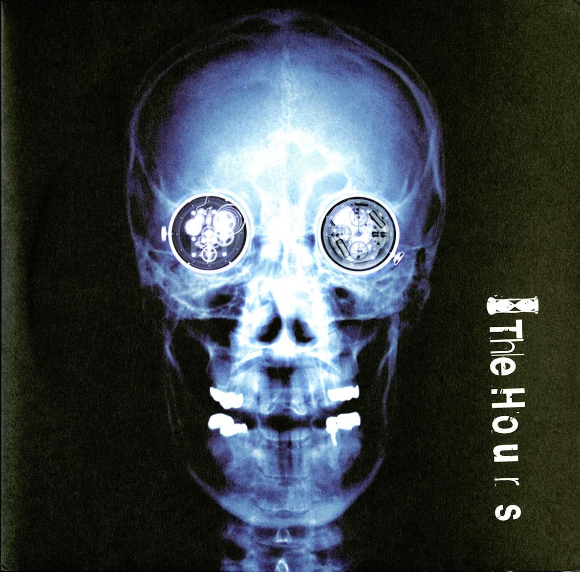 Damien Hirst Skull Album Cover Art 1
