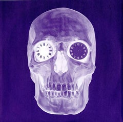 Damien Hirst Skull Album Cover Art