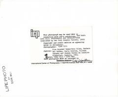 5 Femmes de marque:: 1960