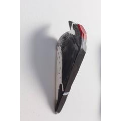 Acorn Woodpecker 10
