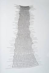 Wire Shroud