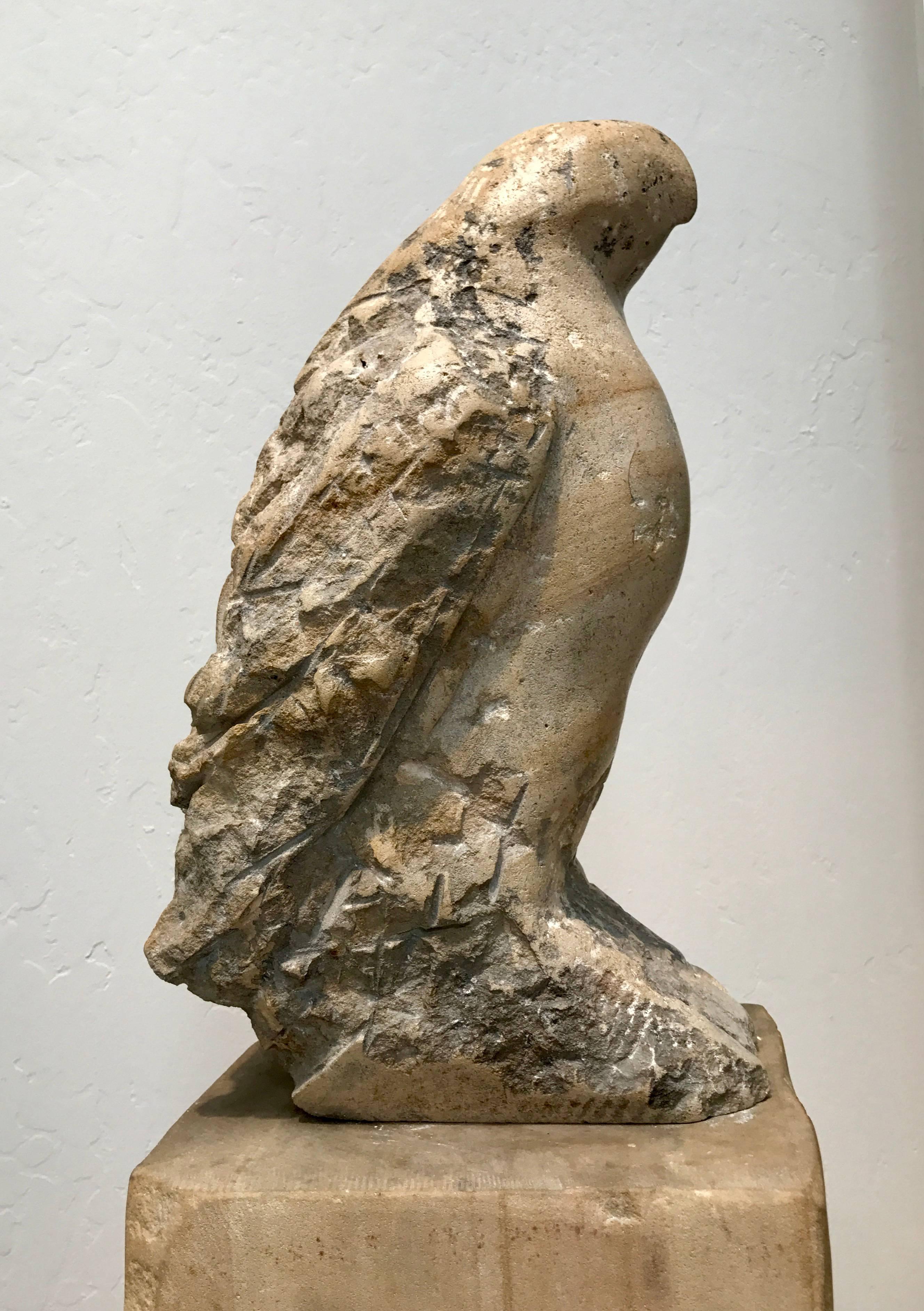 Jane Rosen Still-Life Sculpture - Hawk Owl