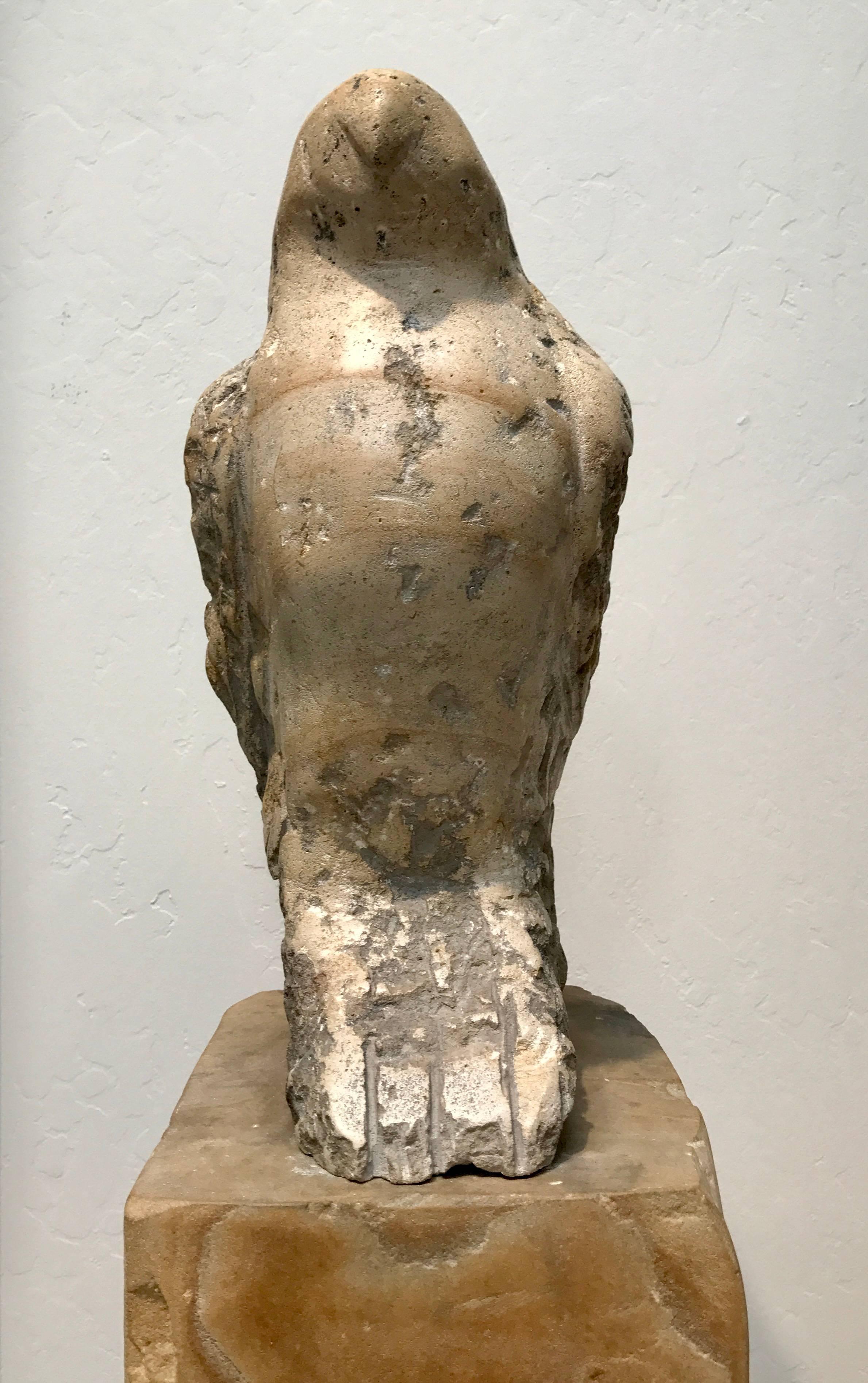 Hawk Owl - Sculpture by Jane Rosen
