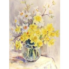 Daffodils 6