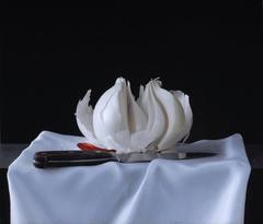 Ravaged Onion