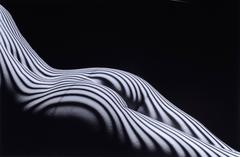 Nu zèbre en diagonale, New York 2013