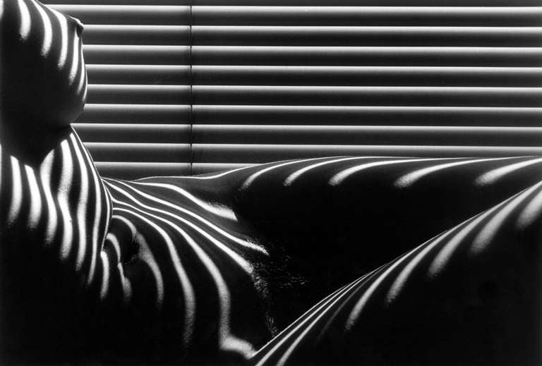 Lucien Clergue Nude Photograph - Nu Zebre, New York
