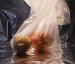 Plastic Bag with Lemon and Orange